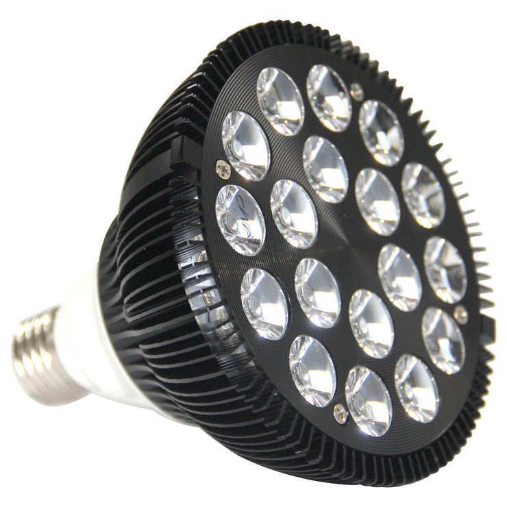 TRUELIGHTS Edisson™️ E27 screw-fit bulb & stand