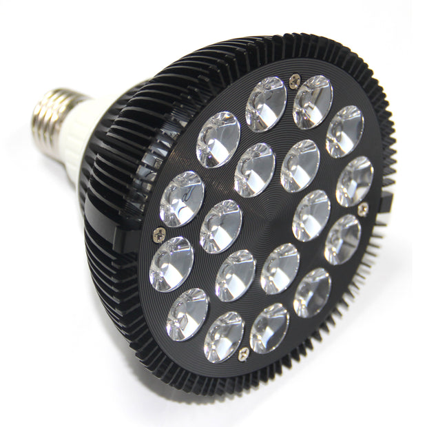 TRUELIGHTS Edisson™️ E27 screw-fit bulb & stand